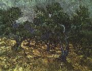 Vincent Van Gogh The Olive Grove Spain oil painting reproduction